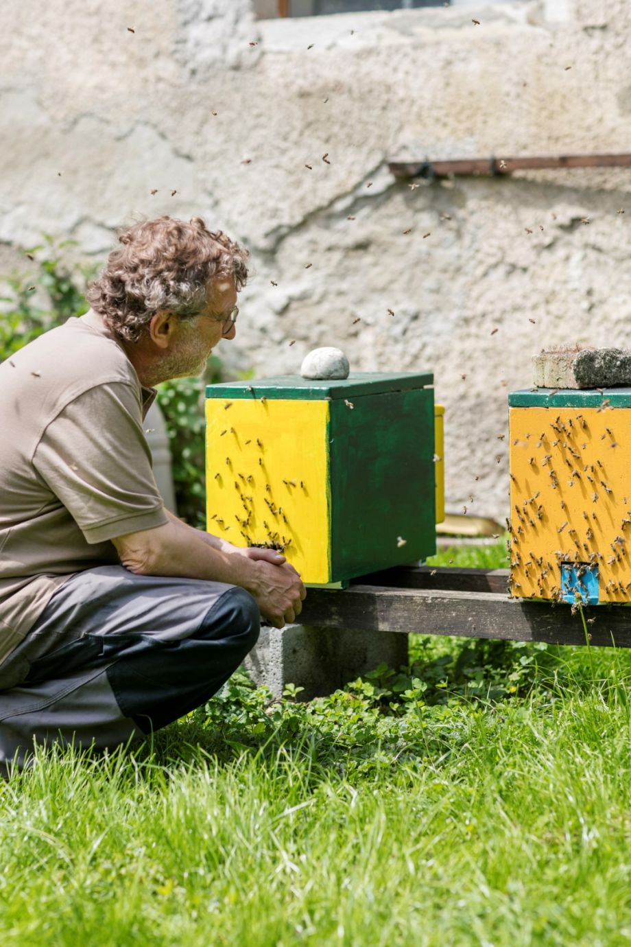 Bienenvölker mit Johann Mayr